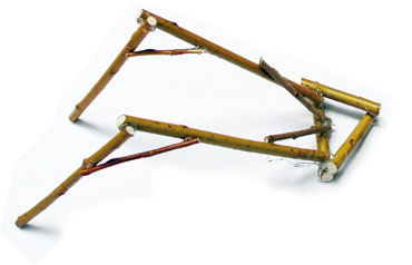 the growing armature