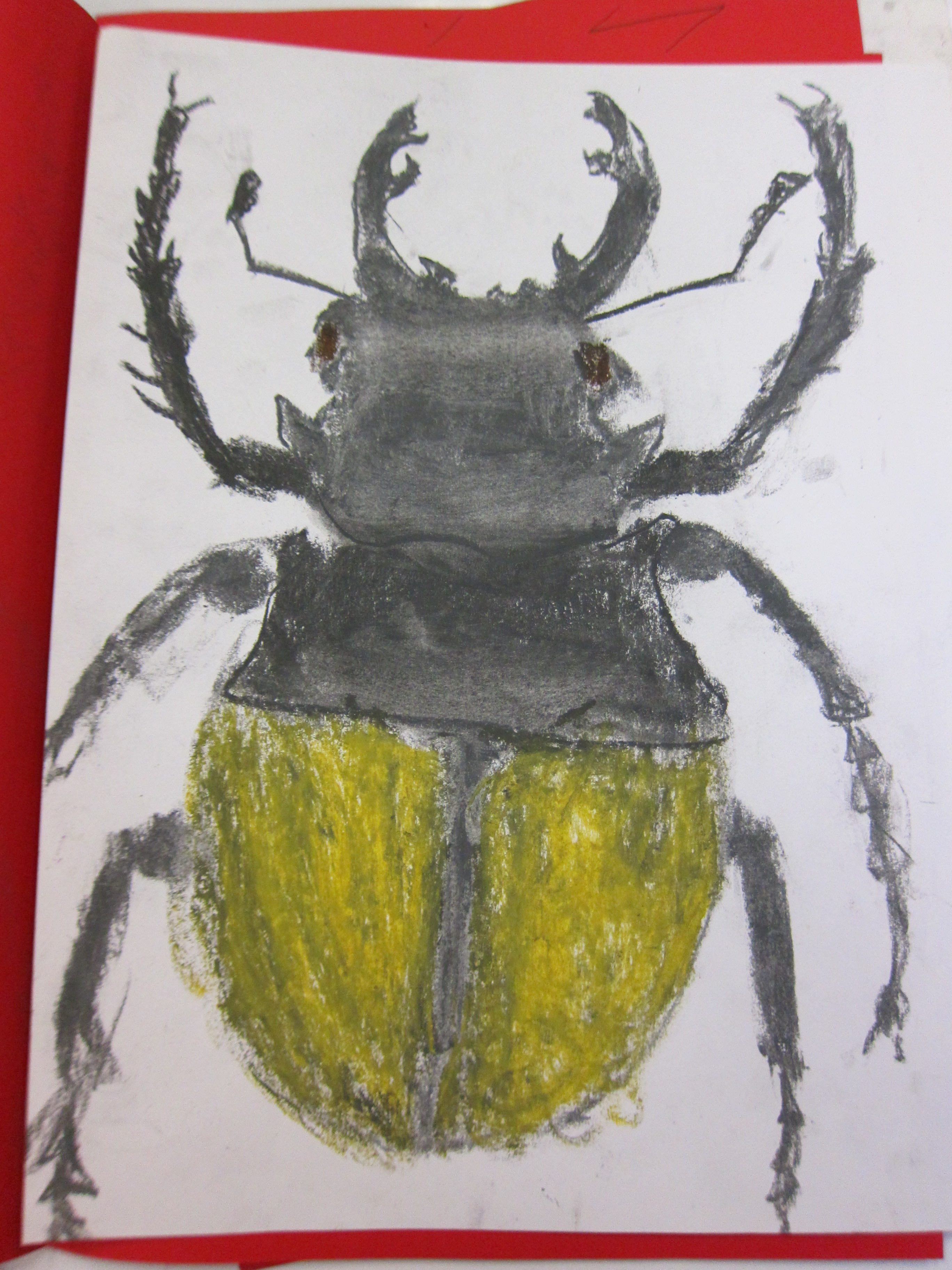 Drawing Minibeasts – using a continuous line, graphite and oil pastel