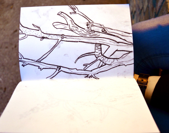 Sketchbooks: Drawing Someone Drawing Something
