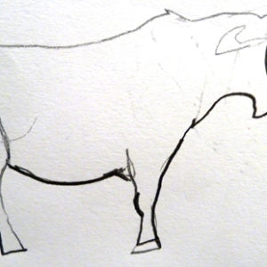Foreshortened Cow by Jasmine