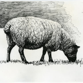 Sheep Grazing 1972 Page from Sheep Sketchbook HMF 3349 ballpoint pen, felt-tipped pen 210 x 251mm photo: The Henry Moore Foundation archive Reproduced by permission of The Henry Moore Foundation archive