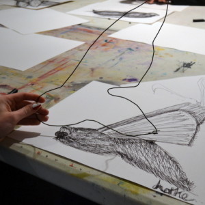 Drawing Insects with Wire