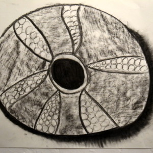 Amy's 'Sea Urchin', A1 in charcoal
