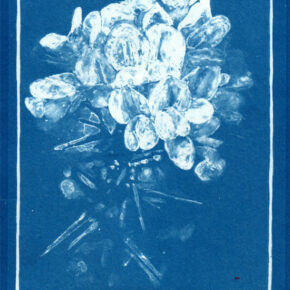 Explore the photographic process of cyanotype 