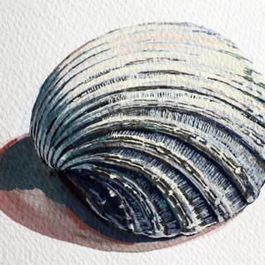 painting shells