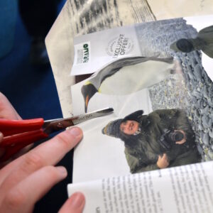 Finding and then cutting animals out of magazines