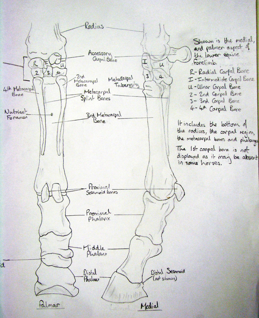 Using Drawing as a Way of Understanding: University of Liverpool ...