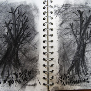 Inspired by William Kentridge, explore making charcoal animations in a sketchbook