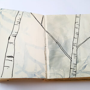 Paula Briggs introduces the thinking behind the Sketchbook Journey