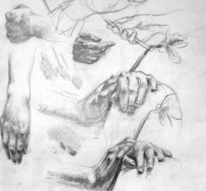 Tackling hands and feet in quick studies, by Hester Berry