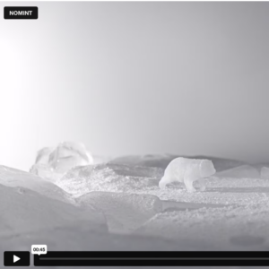 Explore this film addressing the impacts of global change on ice