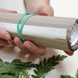 Try something new by creating one long drawing with this scroll sketchbook. 