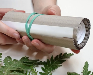 Making a scroll drawing, Drawing Projects for Children