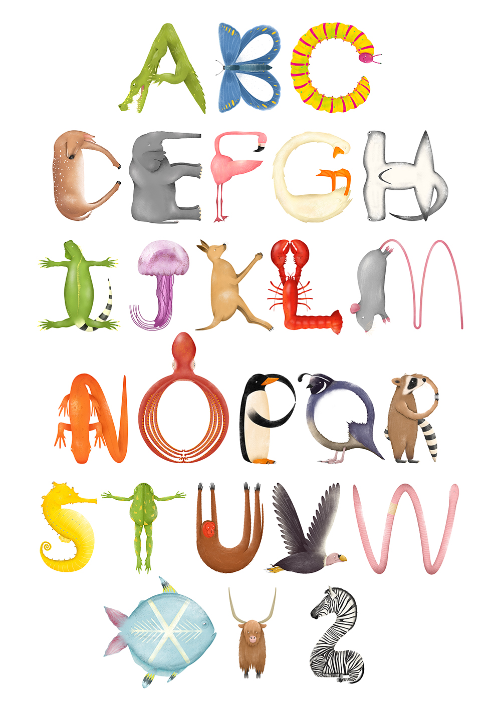 DrawAble Making Illustrated Letters by Isobel Grant