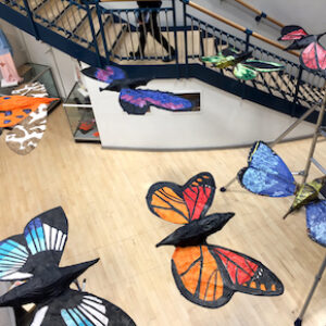 3D Butterflies by Anne-Louise Quinton