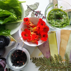 Anthotype Ingredients by Genevieve Rudd