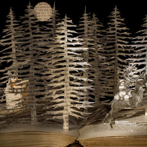 Featured in the 'Exploring Books as a Sculptural Material' pathway