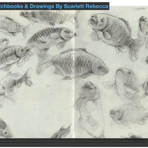 How I Use Sketchbooks by Scarlett Rebecca