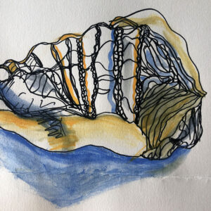 Continuous Line Drawing Of A Shell By Zoe Coughlan