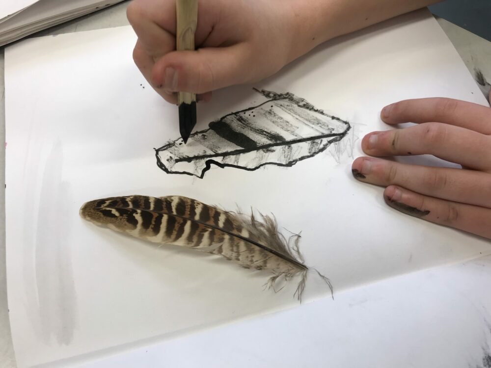 Drawing a feather