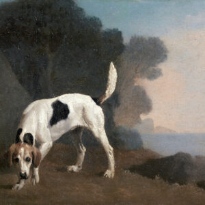 Foxhound (1760) painting in high resolution by George Stubbs. Original from The Yale University Art Gallery. Digitally enhanced by rawpixel.