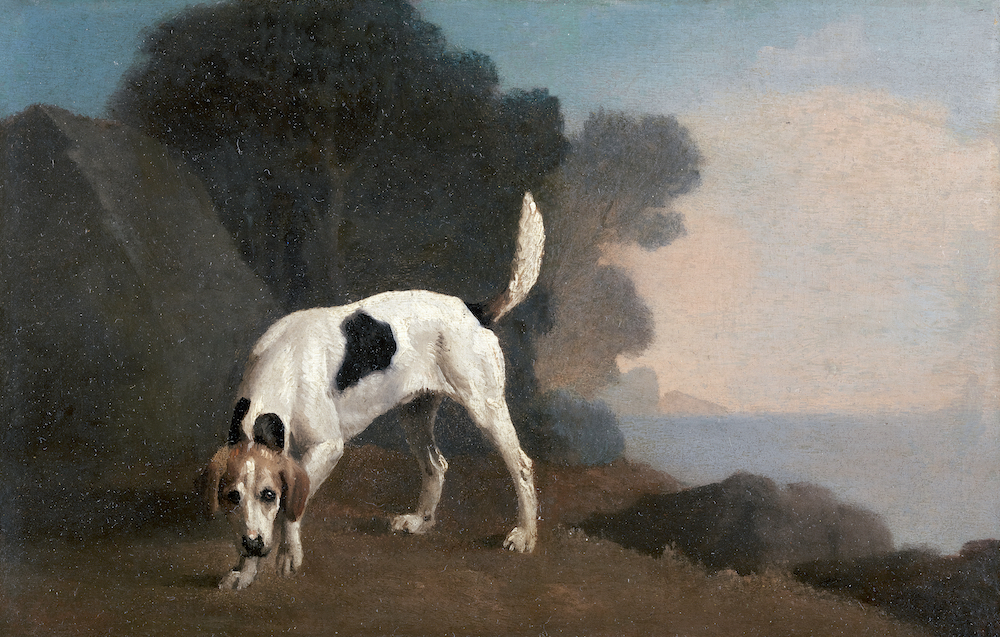 Foxhound (1760) painting in high resolution by George Stubbs. Original from The Yale University Art Gallery. Digitally enhanced by rawpixel.