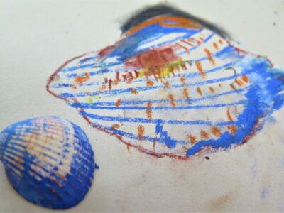 A colour study of a shell.