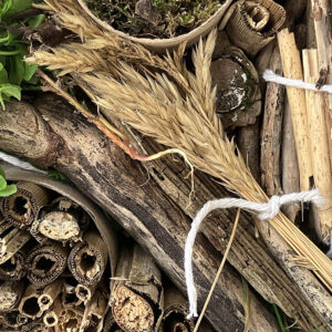 Close Up Of Insect Hotel by Tobi Meuwissen