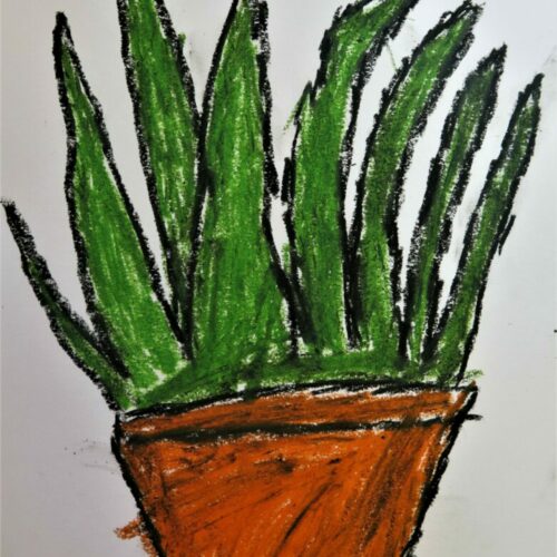 A block colour drawing of a plant using oil pastels.