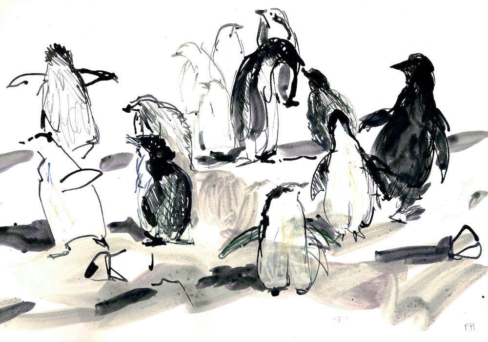 Penguins by Frances Hatch