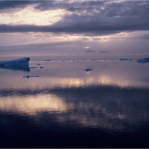 Iceberg by Frances Hatch
